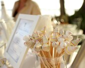 Shell Cocktail Stirrers - Set of 50