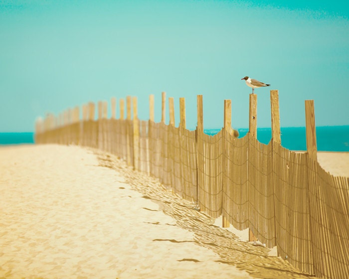 Beach photography gulls nautical seaside summer time gold earth tones cottage aqua turquoise ocean sea - Into the Distance 8x10