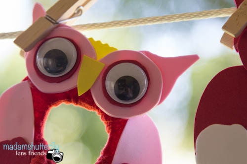 NEW Lens Friends Buddy Prop Owl Series Shutter Helper Many Colors