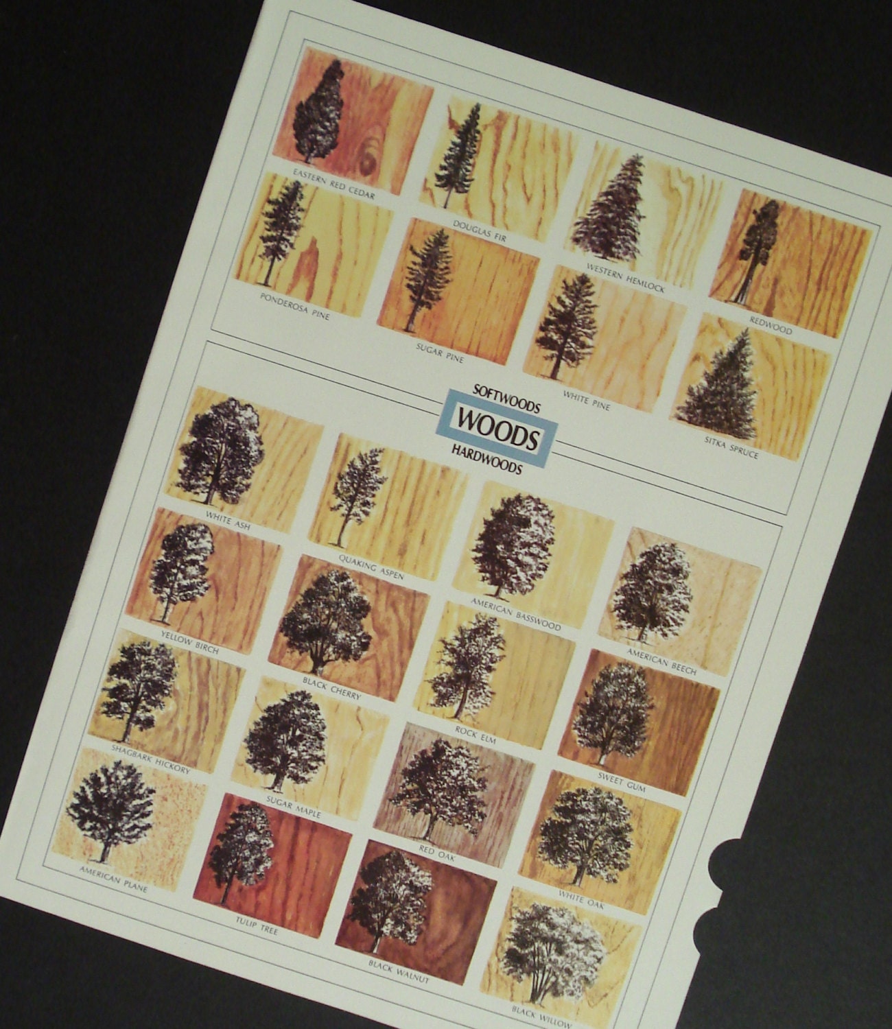 Trees Soft and Hard Woods Vintage Double Sided Original Print Number 657