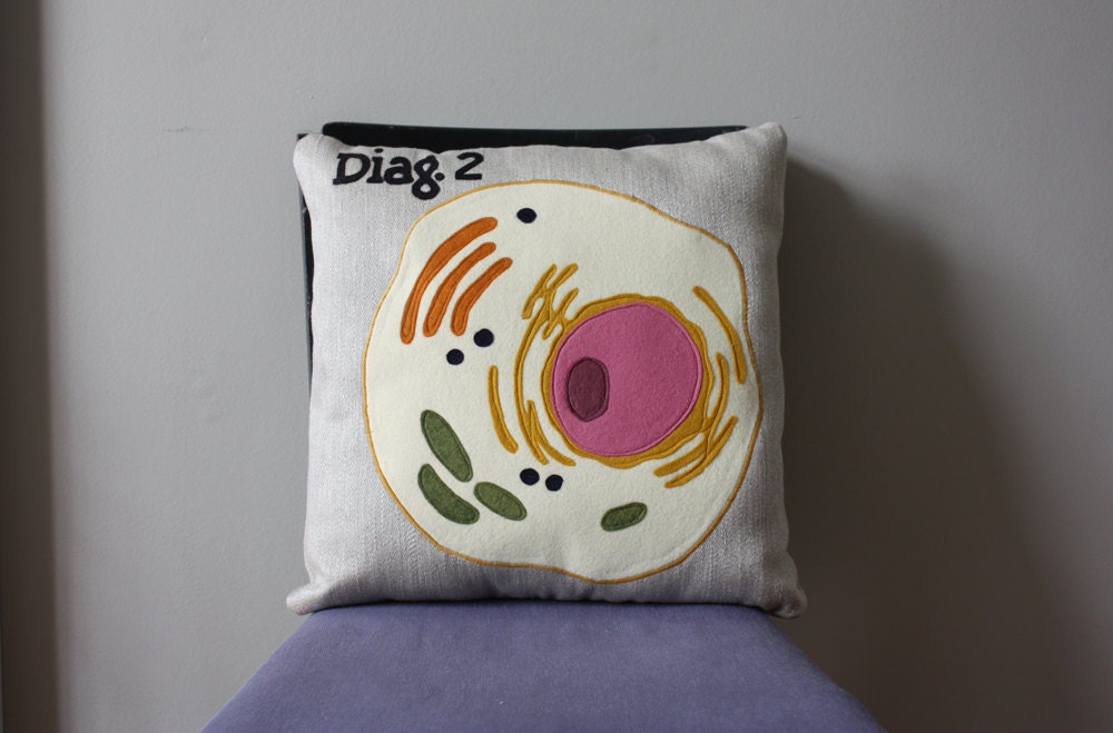 Science Diagram Pillow - Eukaryotic Cell