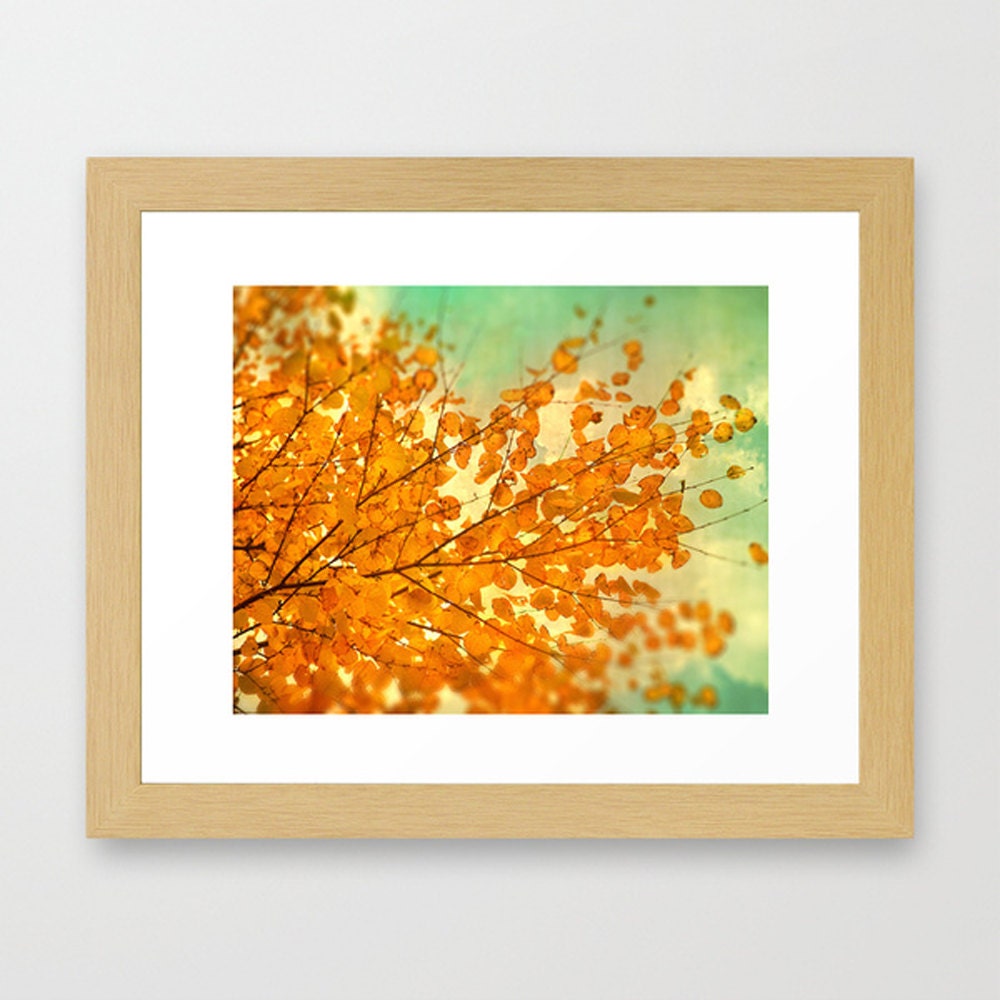 Fall photography autumn color woodland photograph rustic art persimmon orange leaves mint sky naturalist photo tango tangerine
