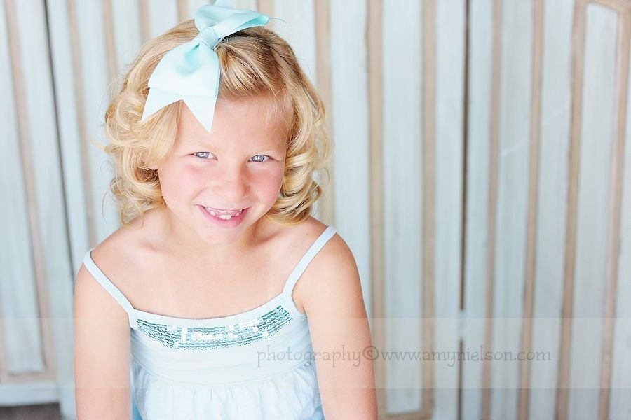 Solid Barbecue Bow - Aqua