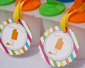 Popsicle Summer Party Birthday Party Favor Tags Set of 12 by Belleza e Luce Il_170x135