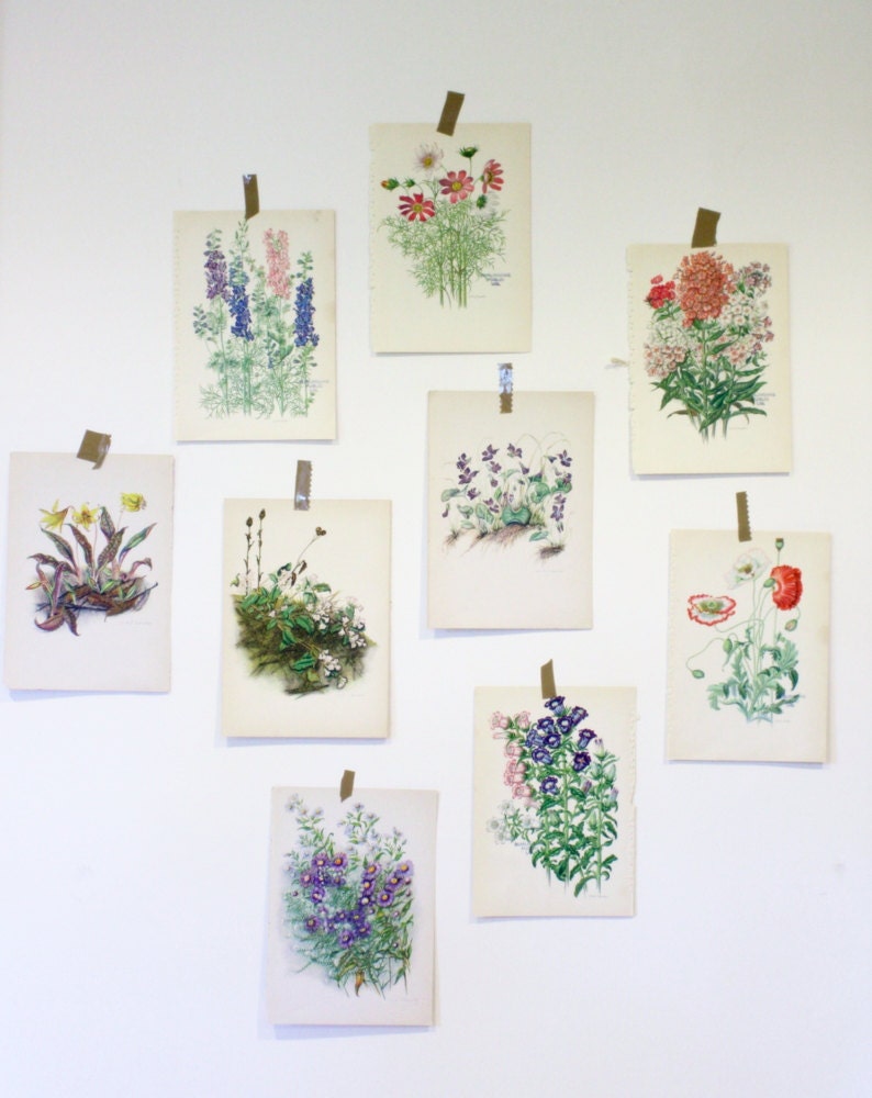 Small Vintage Botanical Flower Print
