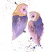 Owls Painting in Watercolor