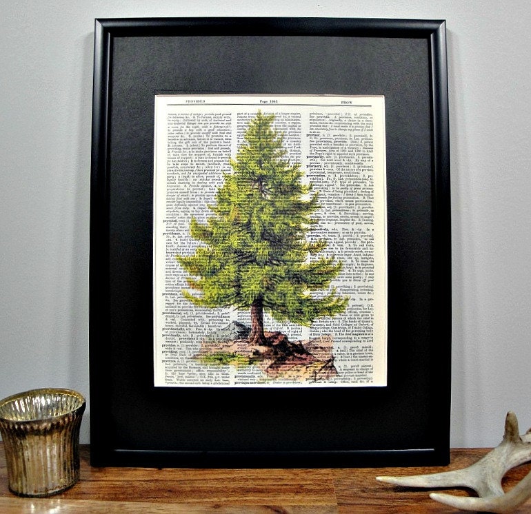 FRAMED Vintage Dictionary Print - Woodland Series - Evergreen Tree