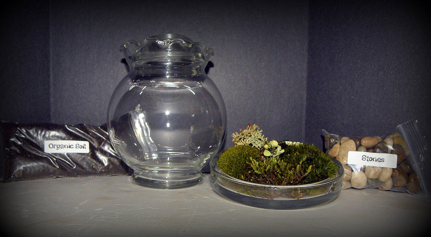 DIY Moss and lichen Terrarium kit Glass Included - Polished stones & Organic soil included-FREE 17 Page Moss Care Book included