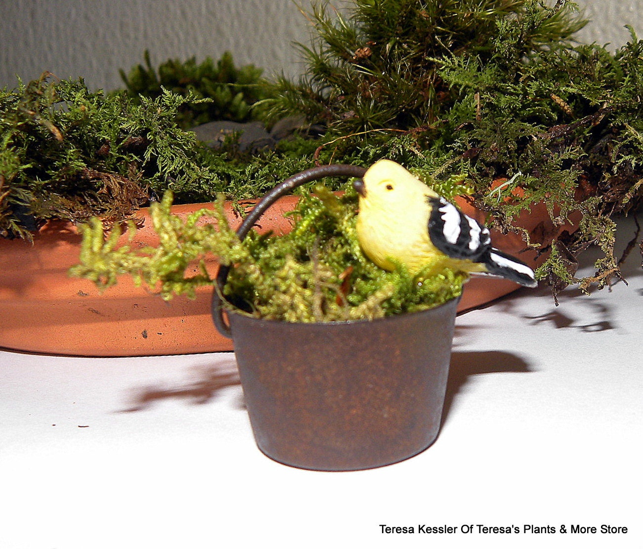 Miniature garden pot with preserved or live moss-Rustic metal Flower pot-1 Fairy Garden Rusty metal moss pot with bird