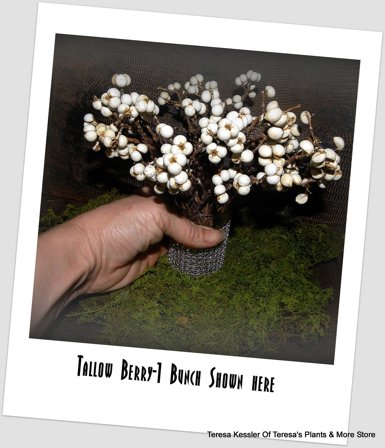 Dried White Tallow Berry Bundle-Wedding bouquet flower-White boutonnieres-Dried floral