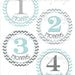 Monthly onesie stickers- aqua blue and gray Chevron- baby boy or girl monthly bodysuit onesie sticker decals- baby shower gift