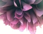 Boysenberry ... 1 tissue paper pom // wedding reception // anniversary // bridal shower // eco party decorations Il_170x135