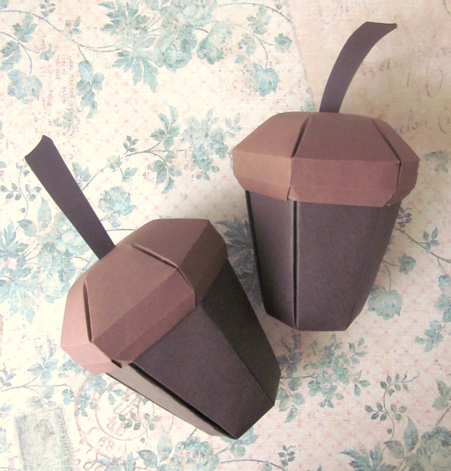 Acorn Gift Box