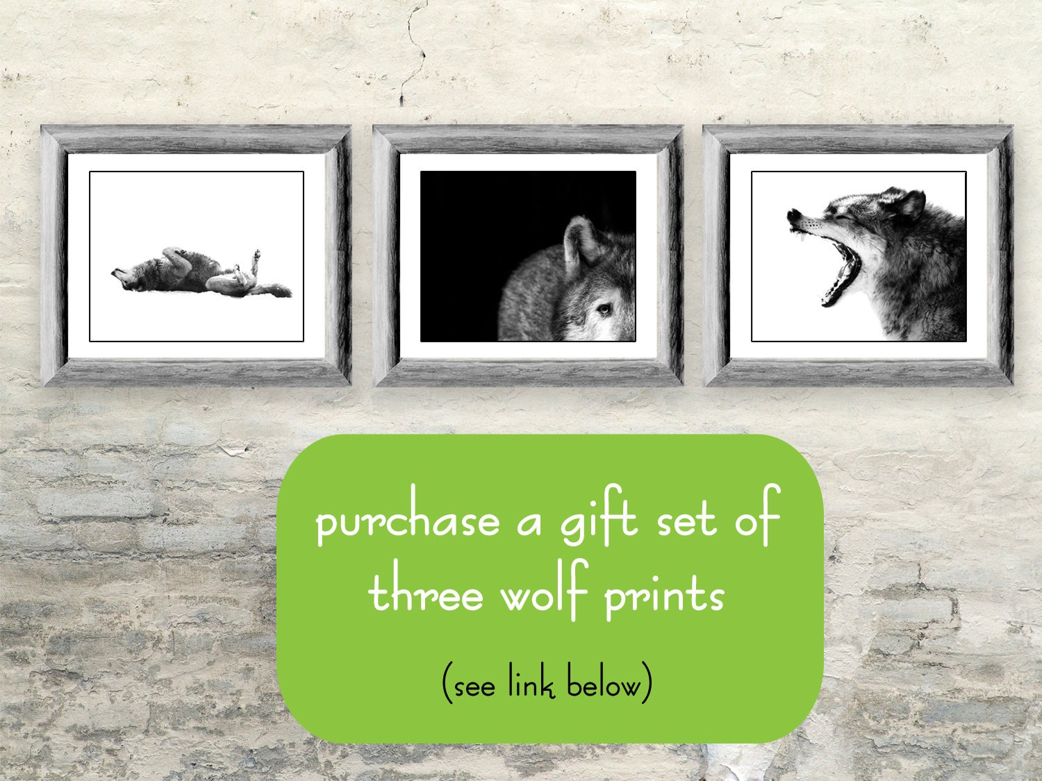 Intense Gray Wolf Portrait Photo - 8x10 Black and White Wild Animal Nature Photo Print - Wolf Art Minimal - Gift for him or her