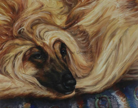 Afghan on Carpet - Afghan Hound dog print from painting - 8x10 print
