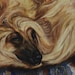 Afghan on Carpet - Afghan Hound dog print from painting - 8x10 print