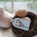 Bird Mini Tags Blue Set of 15