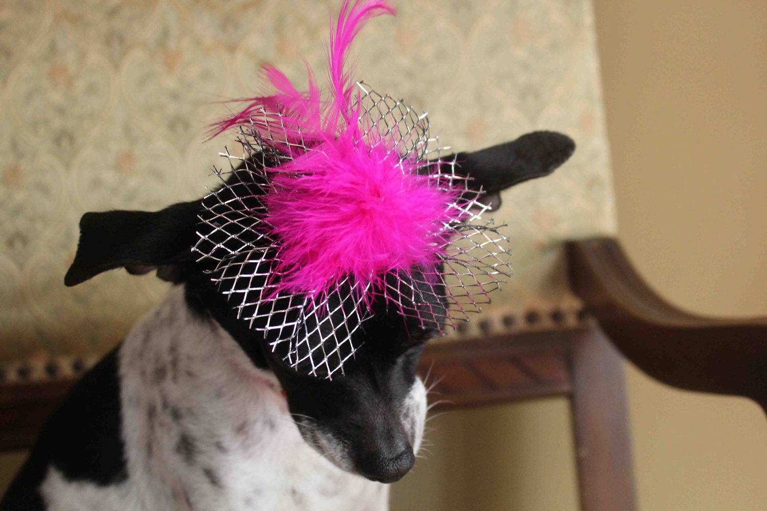 Cute hot pink   color  mini  hat with   feather and   flowers for dog or cat