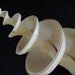 Beach Decor Large Cut Syrinx Aruanus Specimen Shell
