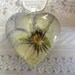 Soft Pastel Ombre Lavender and Yellow Coconut Pansy Pressed Flower Glass Heart Pendant-Symbolizes Loyalty