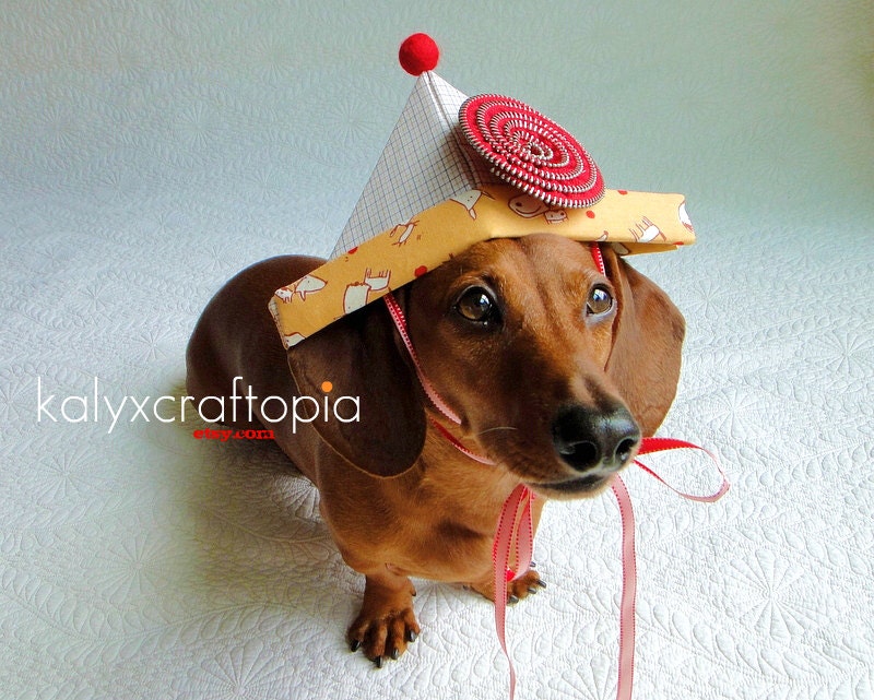 Cute Birthday Party Clown Dog Hat - Puppy Print White Plaid Cantaloupe Orange Red