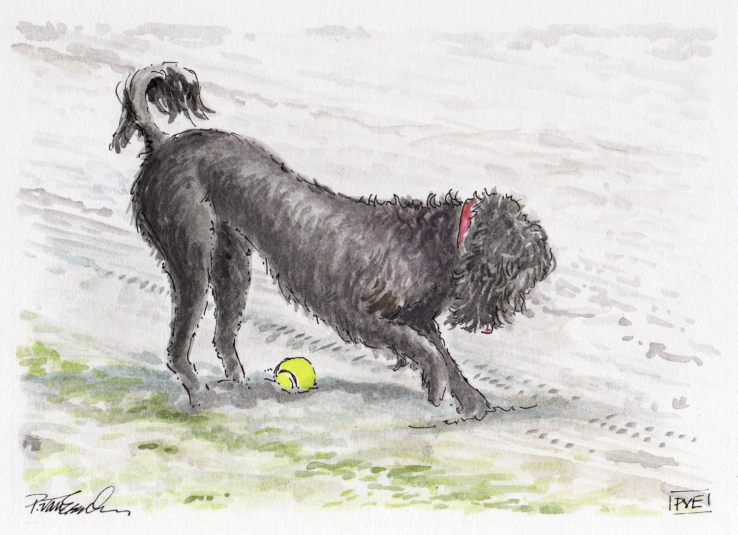 Custom pet portrait