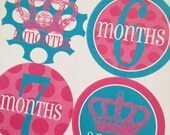 Monthly Baby Onesie Stickers - Princess Dot