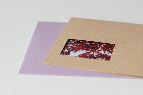 Japanese Maple photo card - blank