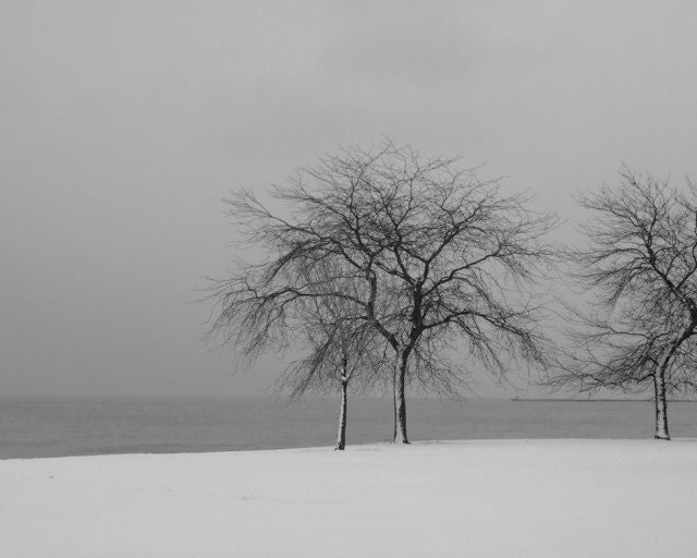 Snow Tree 2