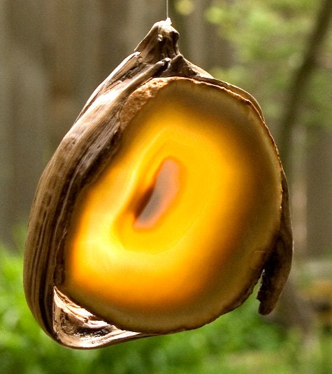 Driftwood Mobile Sun Catcher FREE SHIPPING in US and Canada