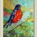 Lovely Bird- Original Oil Painting
