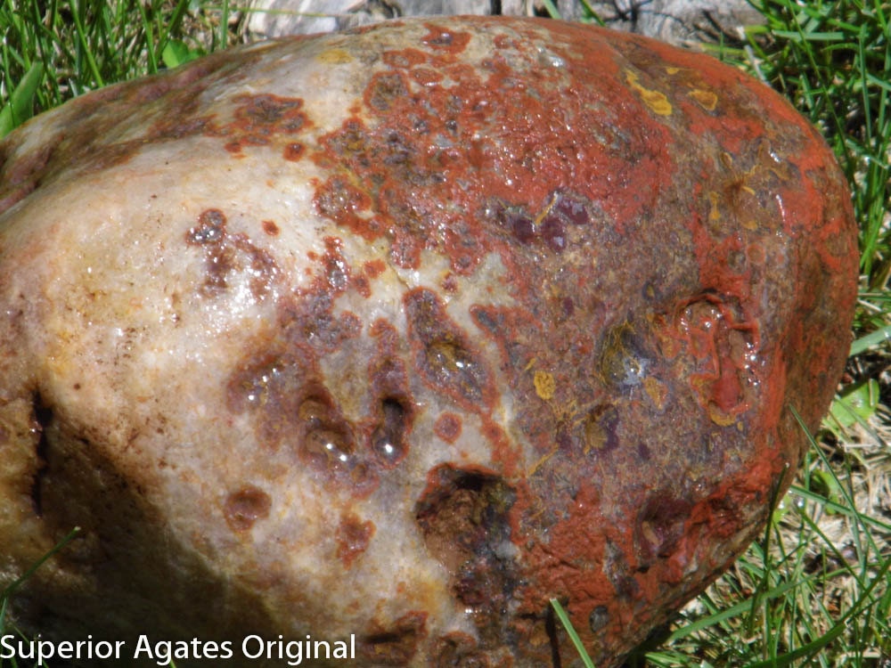 9 LB Lake Superior Amygdaloid Agate Collectable Specimen