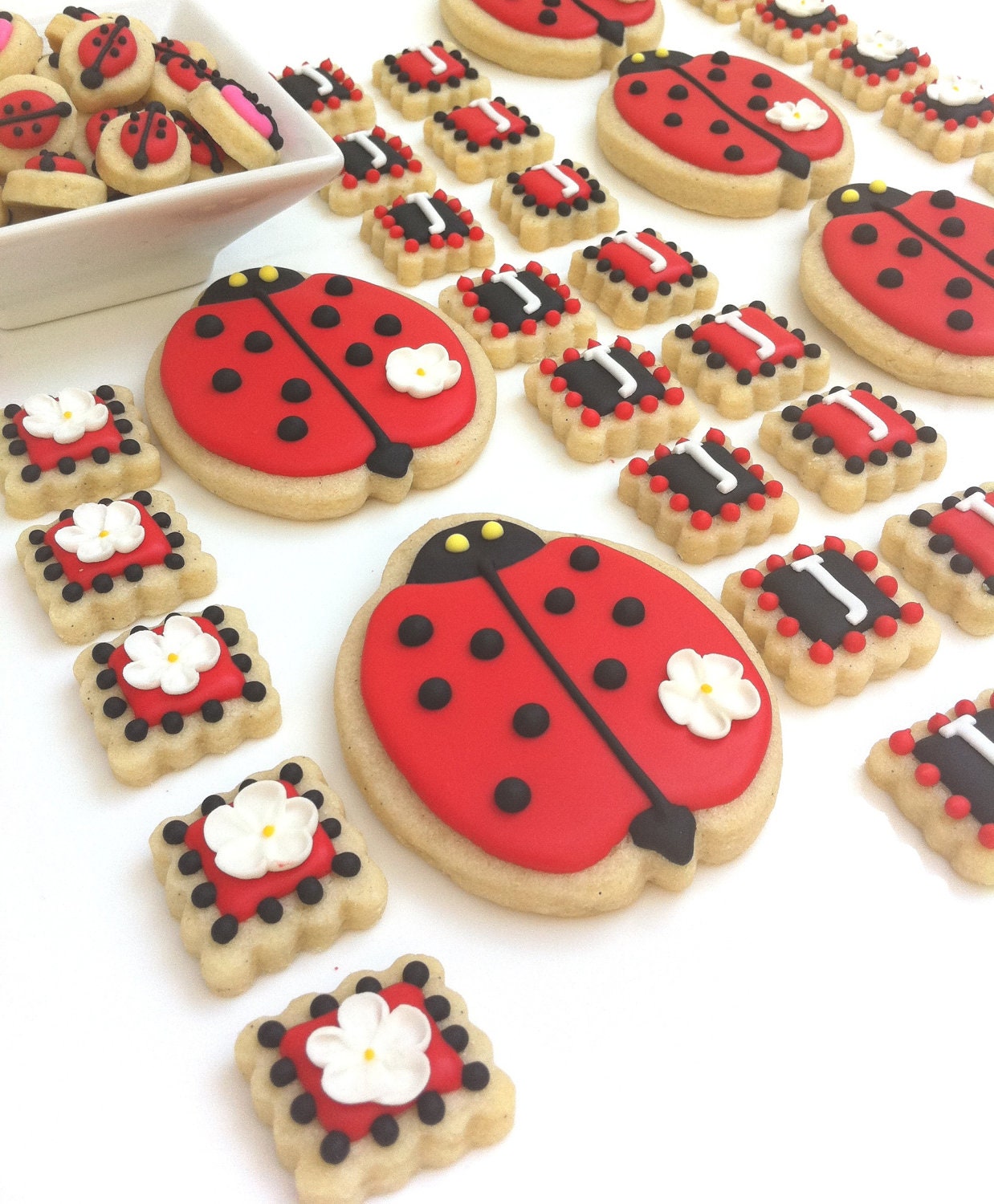 Lucky Ladybugs Party Pack (Ladybug Cookie Favors, Mini Ladybugs, Monogram Tiles and Flower Tiles)