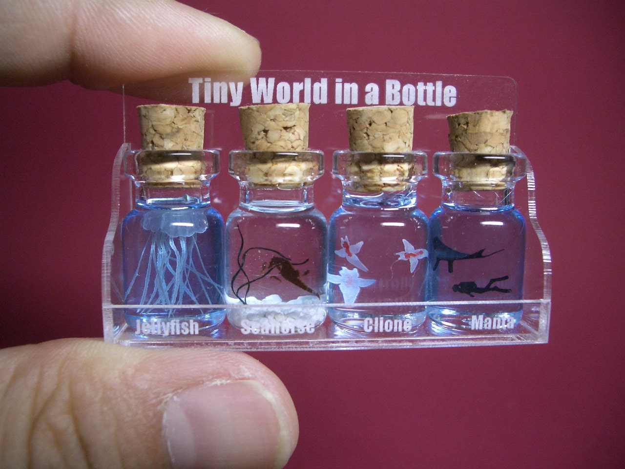 Four kinds of sea animals are in a tiny bottle in a small cute case