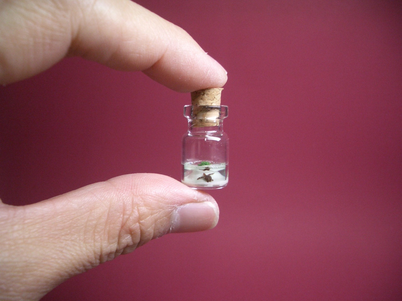 A turtle in an uninhabited island in a tiny bottle LEGver.3