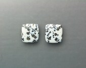 Dendritic Agate Cabochons