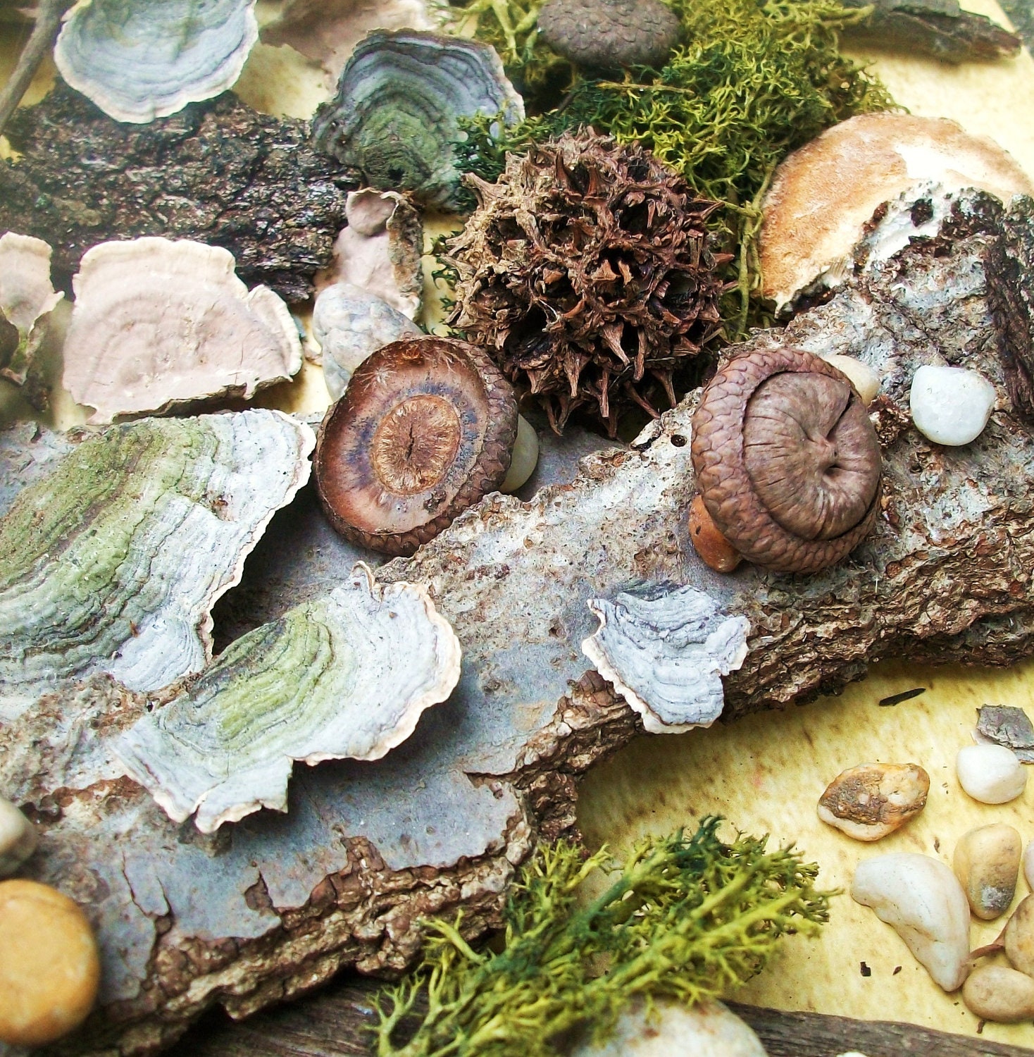 Fairy Garden Supplies