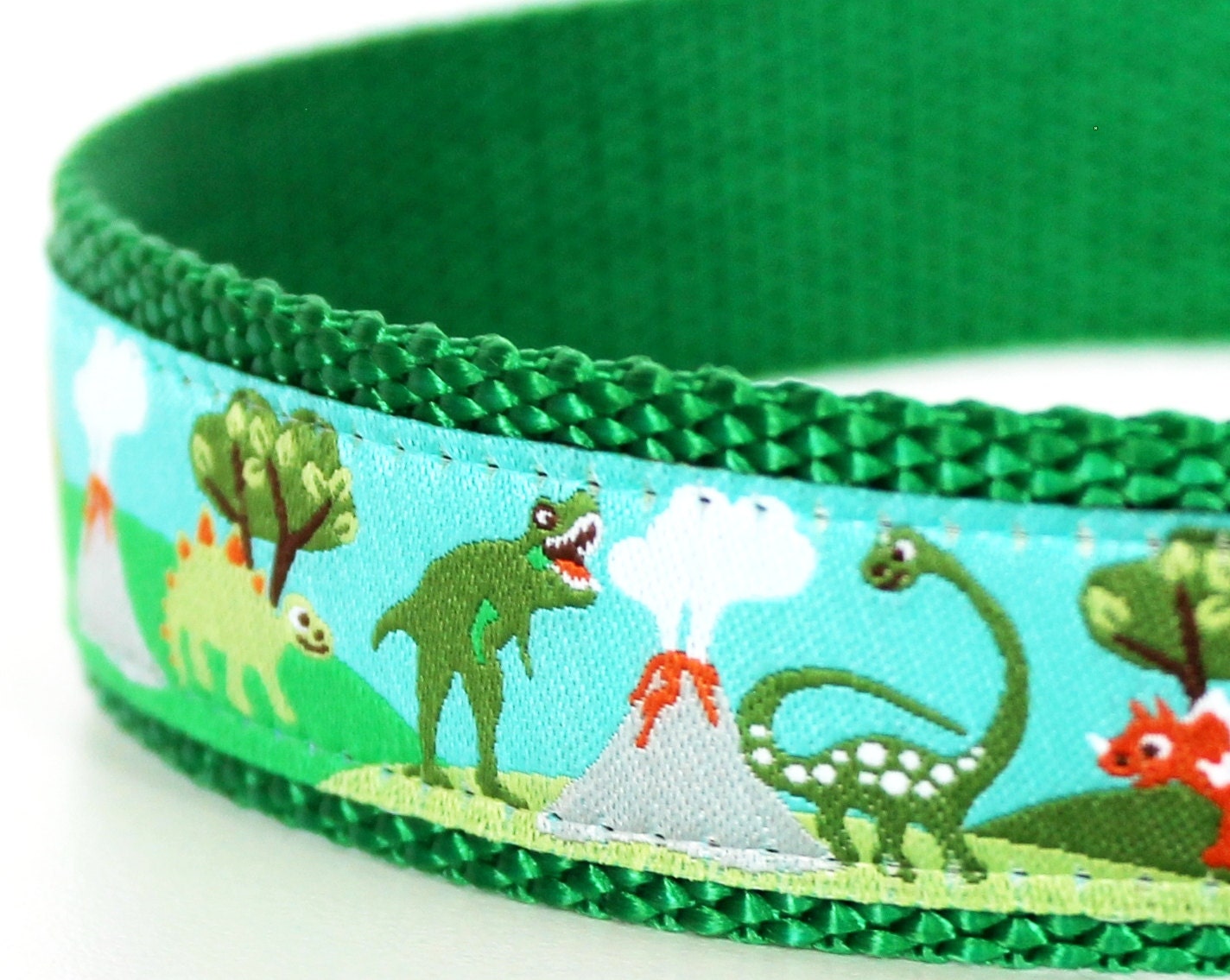 Prehistoric Dinosaur Dog Collar  / 1 inch width / Big Dog Collar