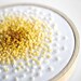 Embroidery Hoop French Knot Color Progression from Mustard to Yellow - 3 inch Hoop Ombre Fiber Wall Art