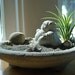Lucky Pug Buddha Sculpture in Zen Garden Air Plant Terrarium