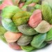 AVOCADO CHEESECAKE 2 Alpaca/Merino/Silk roving - 4.0 oz