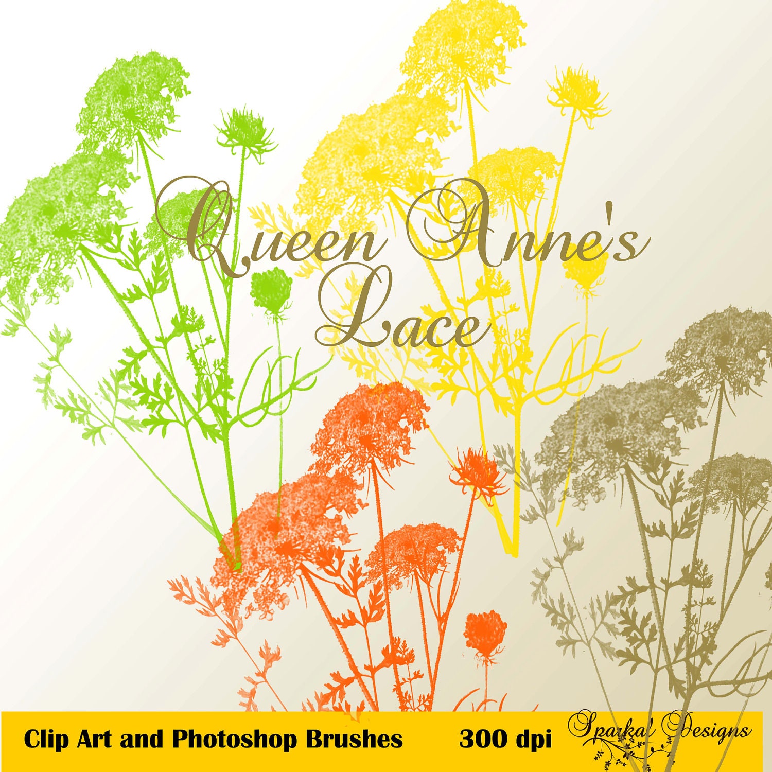 Photoshop Brush Vintage Queen Annes Lace Wedding Digital Scrapbooking Flourish, Elements and Clip Art L1510 Il_570xn