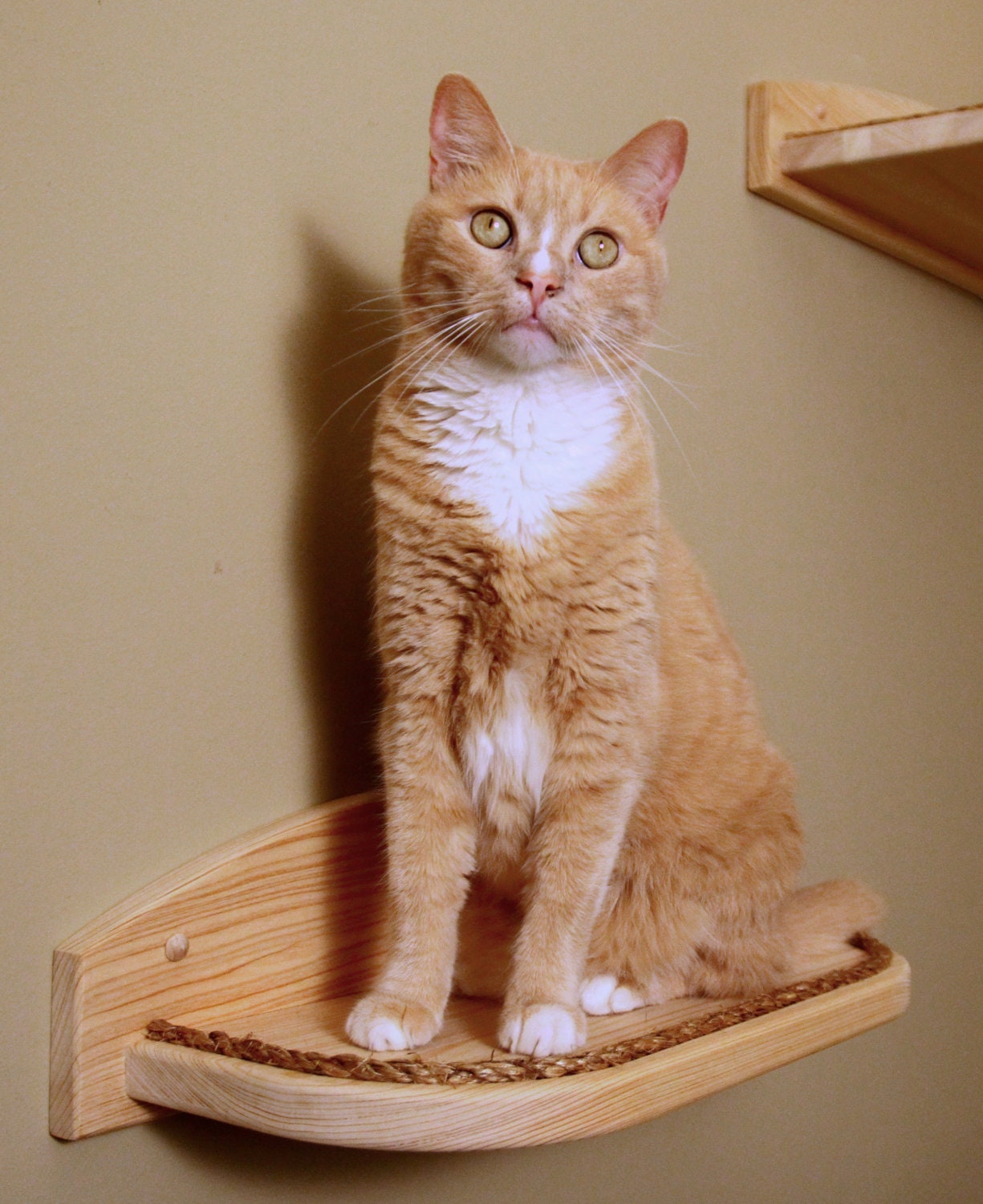 Mountain Cat Climbers, Solid Wood Shelves for Cats - Set of Four