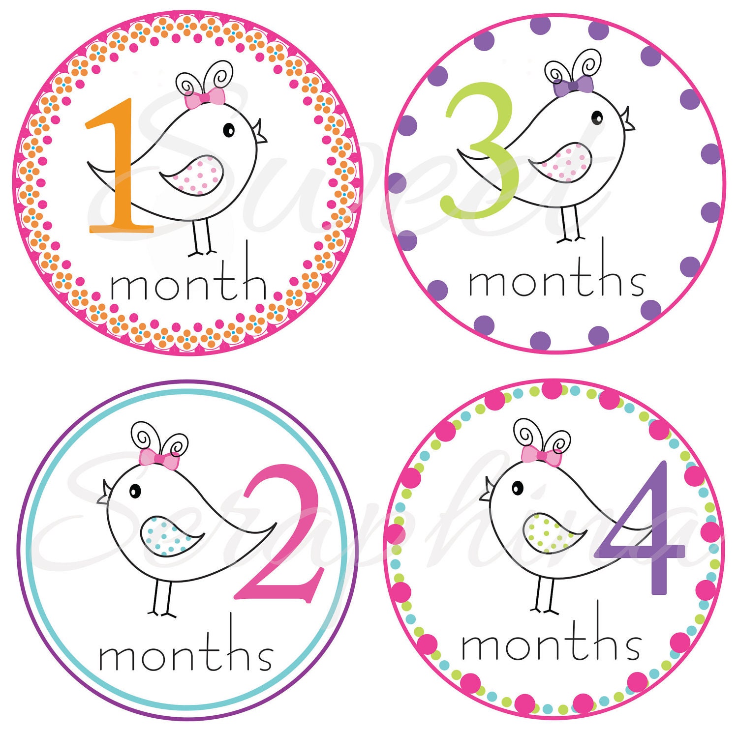 Monthly Stickers for Girls- Birds for Girls - Etsykids Team - Etsy Baby - Bird Stickers - Babys First Year - SweetSeraphina