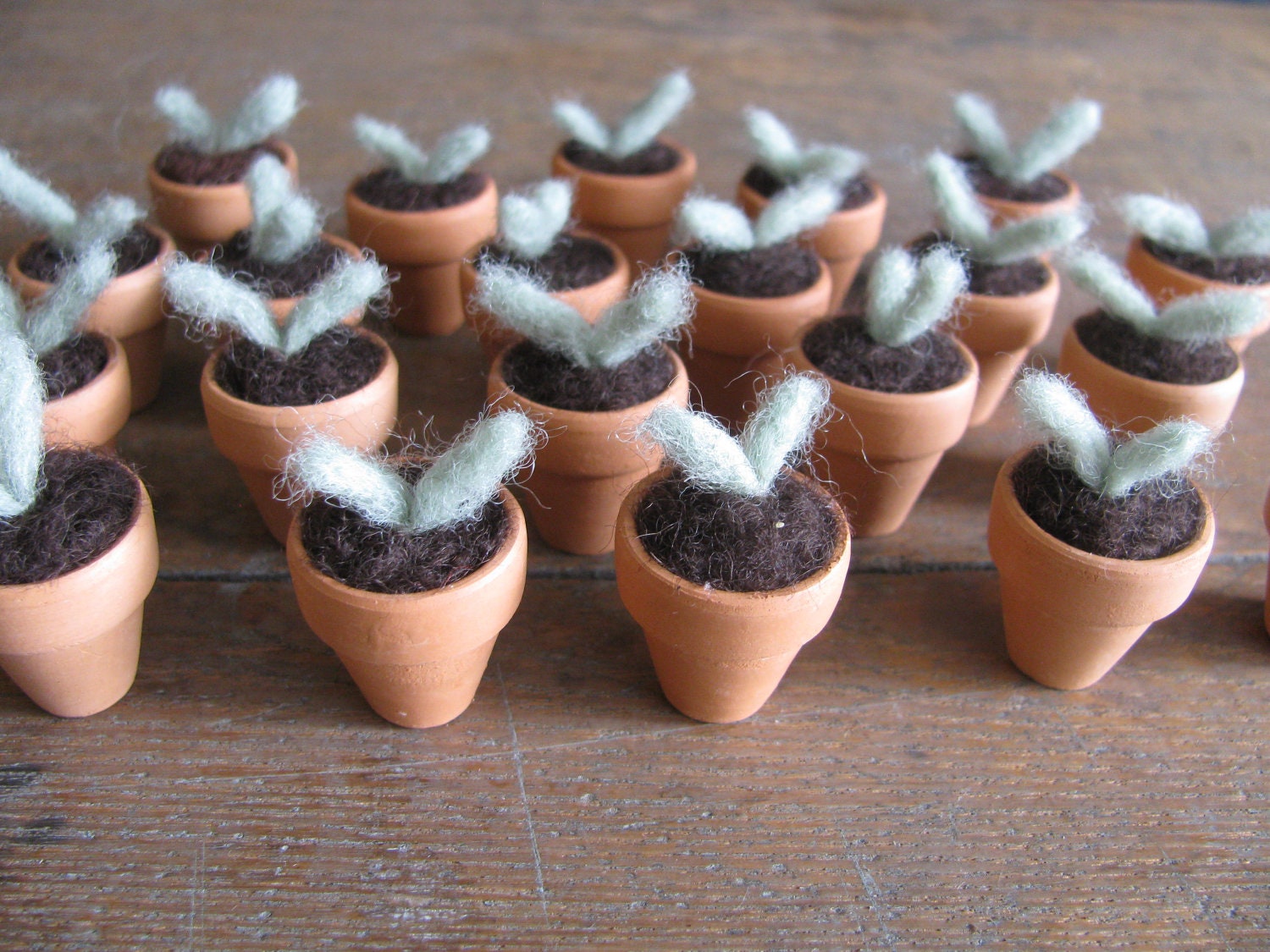 Felted wool seedling in an tiny terra cotta pot