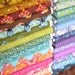 Tula Pink's The Birds and The Bees for Free Spirit Westminster COMPLETE 29 Fat Quarter Bundle
