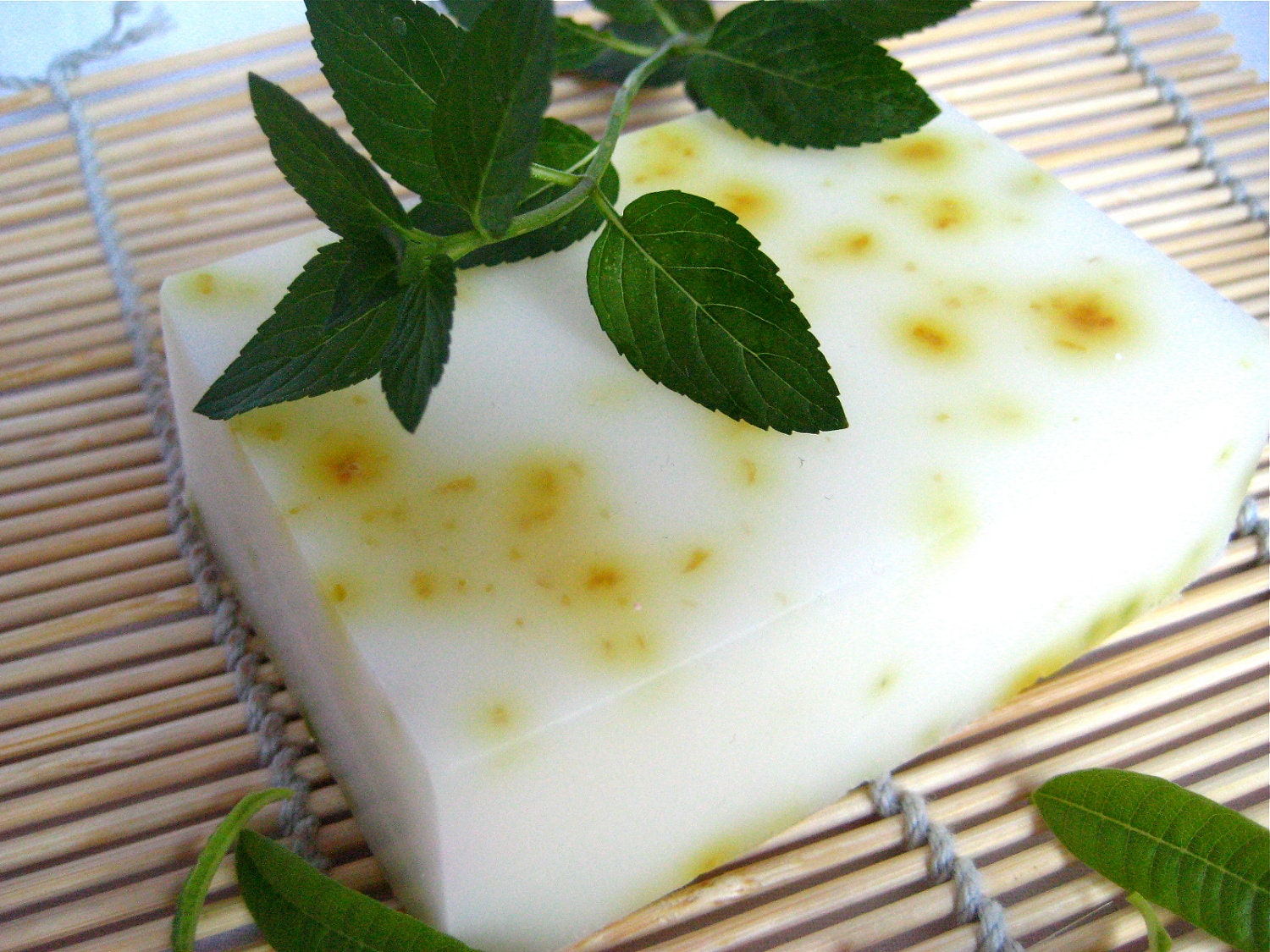 Lemon Mint Spa Bar