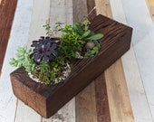 Large / re-BEAM Planter with Succulent Arrangement