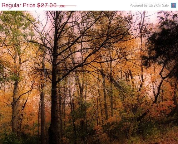 MEGA SALE Autumn Trees Fine Art Photograph