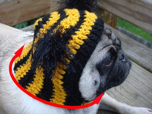 Cheesehead Wisconsin Dog Hat / Made to Order